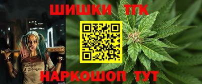 тгк Будённовск