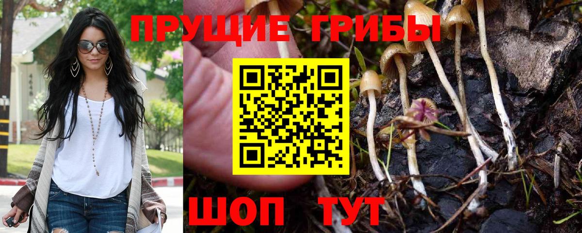 Псилоцибиновые грибы MAGIC MUSHROOMS  Вход с VPN  купить наркотики цена  Галлюциногенные грибы Cubensis  Учалы 