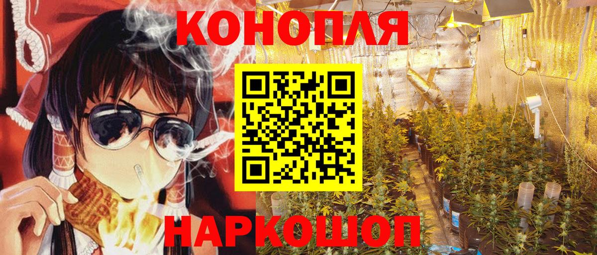 Бошки Шишки гибрид  Вход с VPN  Конопля Amnesia  Учалы  Конопля тримм  МАРИХУАНА сатива 